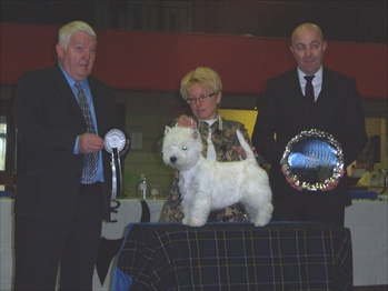 burtscottishbreeds092.jpg